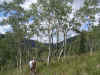 dscn0667.jpg (211361 bytes)