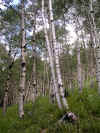 dscn0669.jpg (366435 bytes)