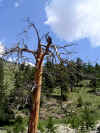 dscn0499.jpg (117566 bytes)