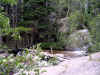 dscn0503.jpg (146413 bytes)