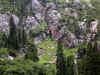 dscn0515.jpg (137430 bytes)