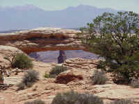 Canyon Lands (4).JPG (171274 bytes)