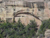 Mesa Verde.JPG (275190 bytes)