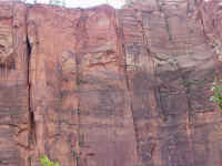 Zion National Park (3).JPG (237398 bytes)