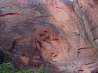Zion National Park (8).JPG (219109 bytes)