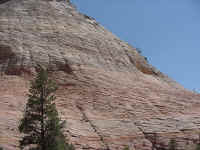 Zion National Park.JPG (272068 bytes)