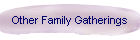 Other Family Gatherings